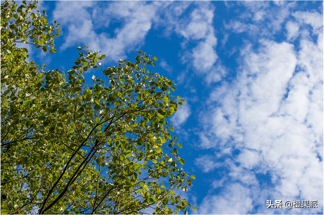 厦门免费斋饭,厦门千年古刹门票