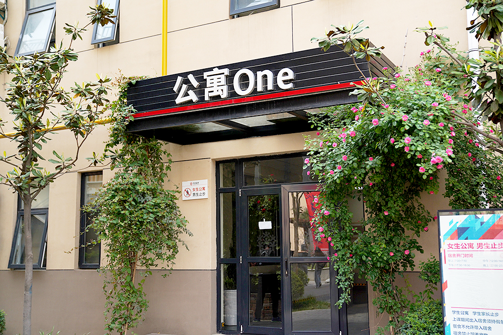 陕西西安丹青美术招生,零基础学美术之路