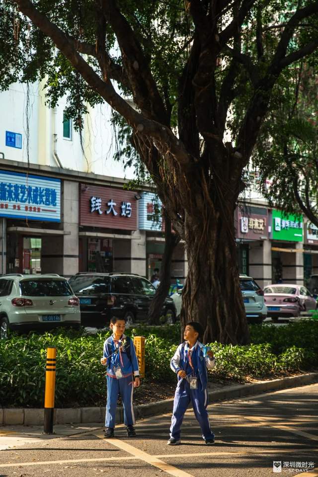 罗湖区莲塘有什么好玩的,罗湖莲塘风景