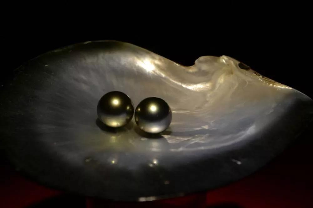 市场上99%的珍珠一碰就掉皮，还卖的死贵！这个“锅”谁来背？