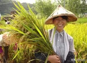 穿越到先秦差点被饿死,穿越到先秦吃啥