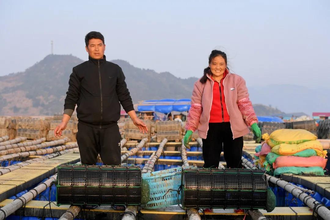 新时代脱贫攻坚取得的伟大成就,脱贫攻坚伟大成就