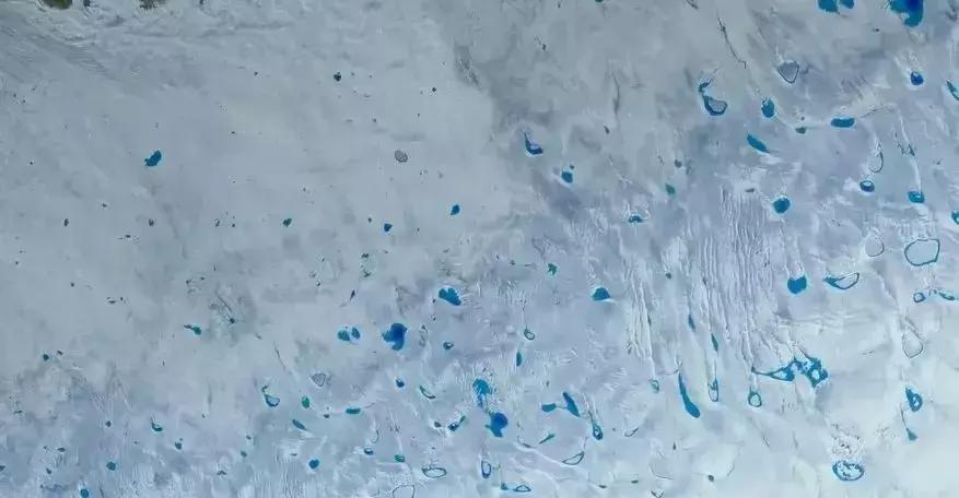 这部BBC纪录片一开播就拿下9.5高分，除了美更培养了孩子的世界观