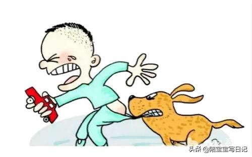 狗十三电影具体对策,狗十三观众影评