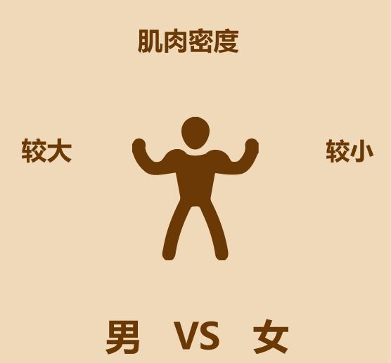 男女区别原版,男女区别视频讲解