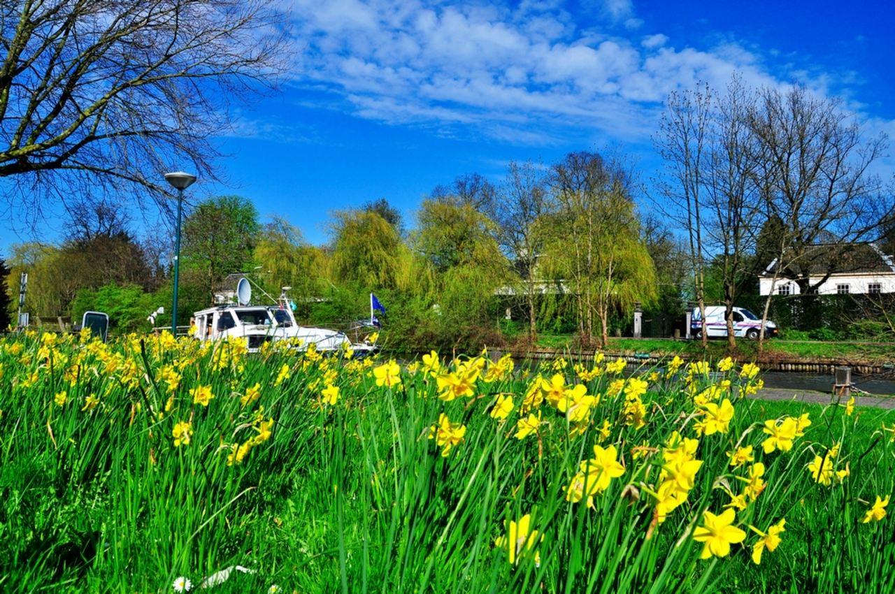 春季眼睛过敏奇痒难忍,小孩春季过敏起疙瘩痒