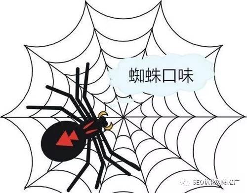 如何引导蜘蛛来抓取自己的网站,如何提高网站蜘蛛抓取的频率