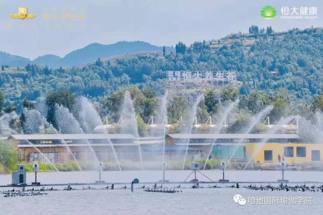 11月不负秋光不负卿恒大嘉丽泽养生谷百人户外瑜伽