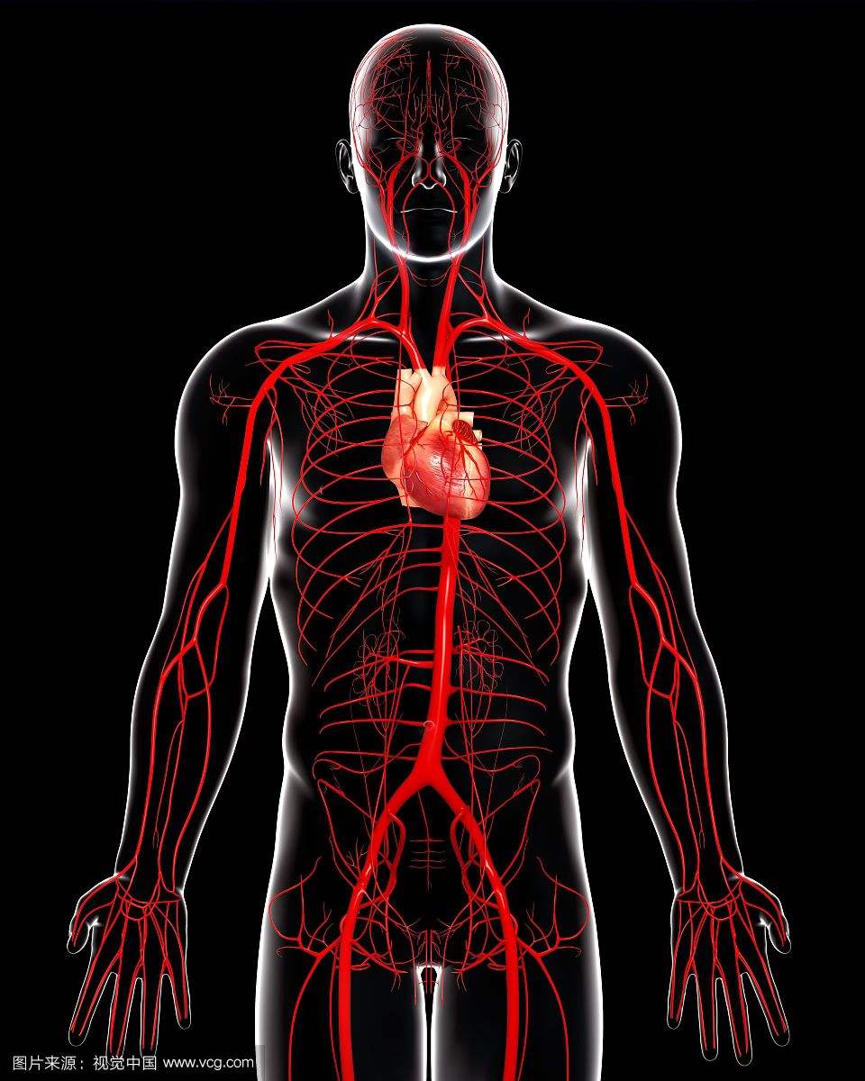 主动脉夹层为什么会这么凶险,异常凶险的心脏病主动脉夹层