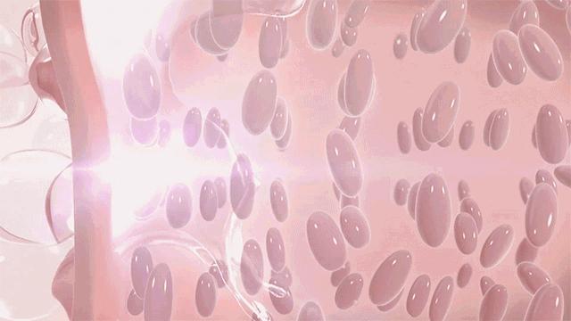 什么芦荟胶才是真正的芦荟胶呢,纯天然的芦荟胶的正确使用方法