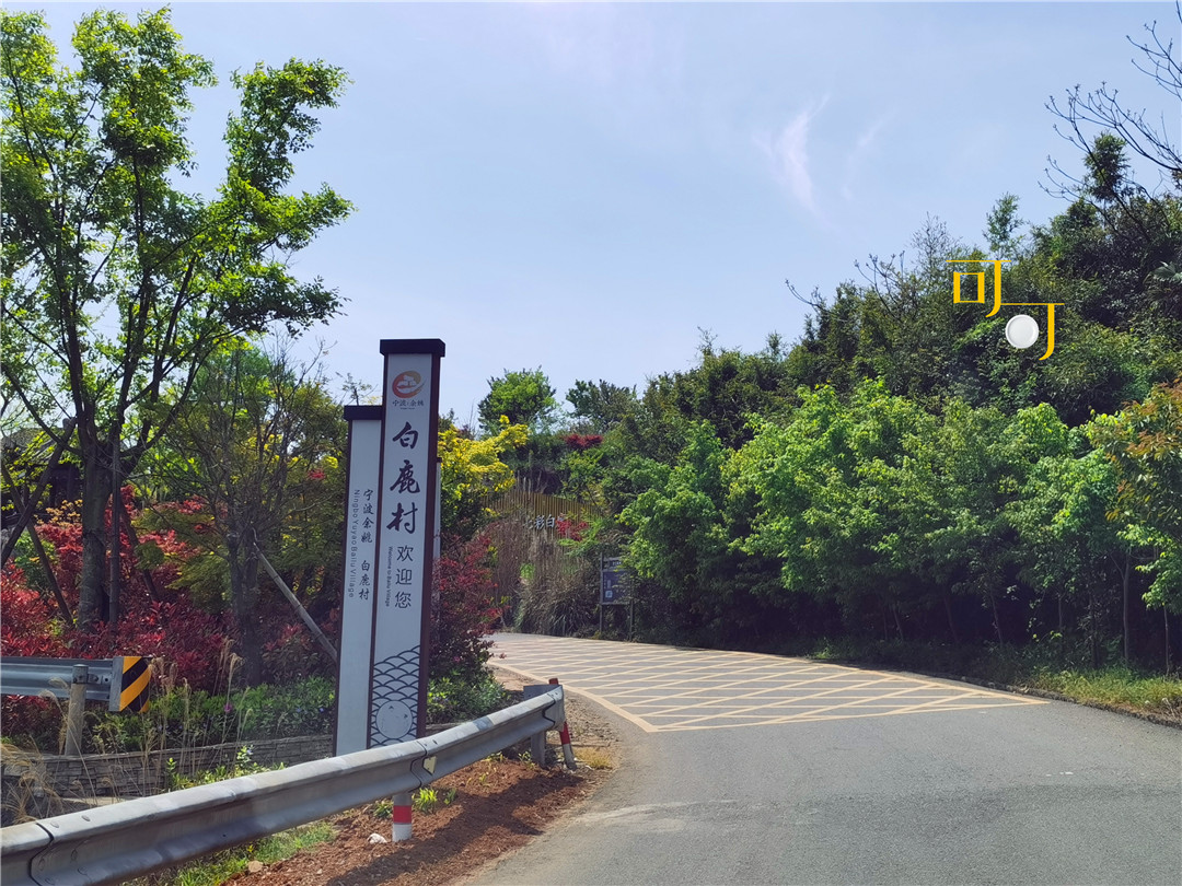 余姚四明山农家乐跟团游有吗,余姚市四明山高山布依农家乐