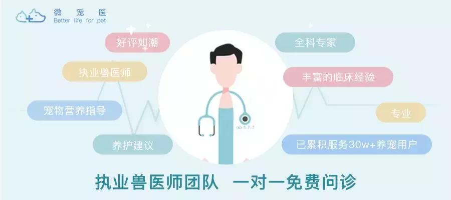 毛孩子发情期可以绝育吗,发情后怎么判断它需要绝育了