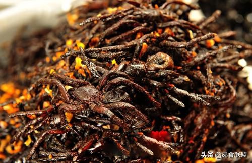 世界各地的奇葩菜,世界各国的奇葩食物排行