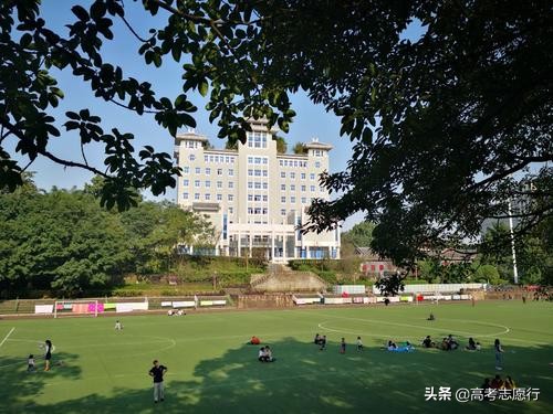 全国24所入选高校中仅4所地方高校,实力与985211不相上下的9所高校