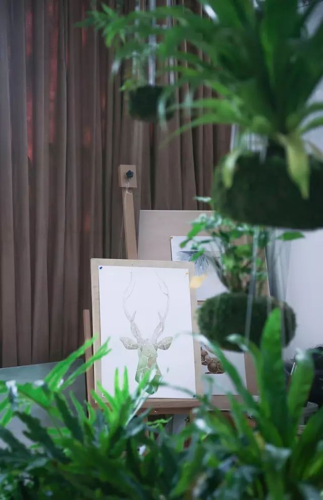 深山老林自建豪华木屋隐居生活,90后小情侣隐居深山建别墅仅花6万