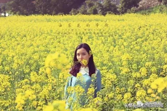 南阳春天踏青,南阳有哪些适合春游的地方