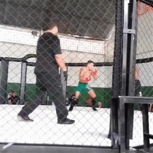 mma训练巴西柔术训练馆报名,mma综合格斗和巴西柔术