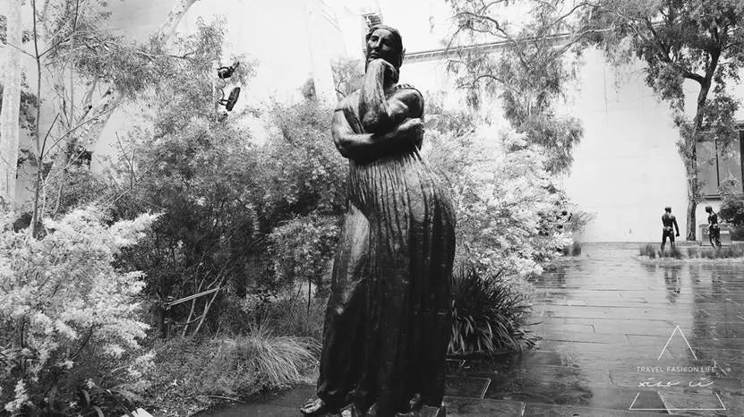 澳洲|春意堪培拉,看袋鼠、品酒、赏花、住进动物的家