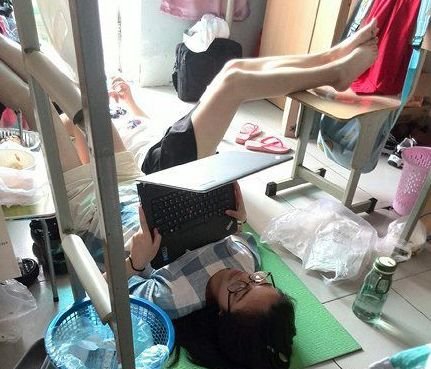 杀猪搞笑图gif,杀猪的照片搞笑图片