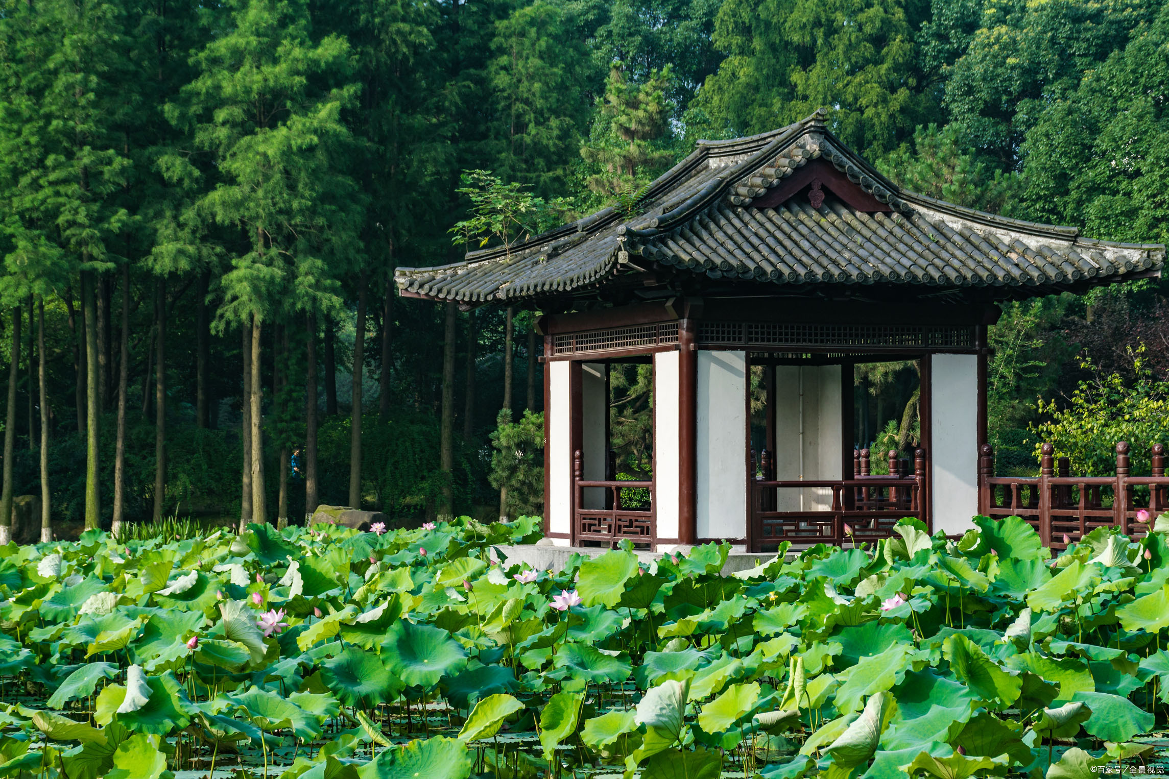 二年级下册15课古诗二首教学视频,二年级下册15古诗二首练习册答案