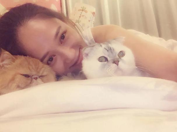 猫跑着跑着突然猝死,猫猝死的症状