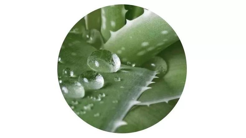 一粒消毒泡腾片泡多少水,泡腾片消毒1粒泡腾片兑多少水