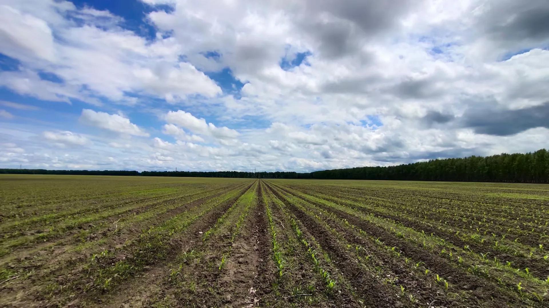 童年的回忆钢琴曲教学,童年的回忆