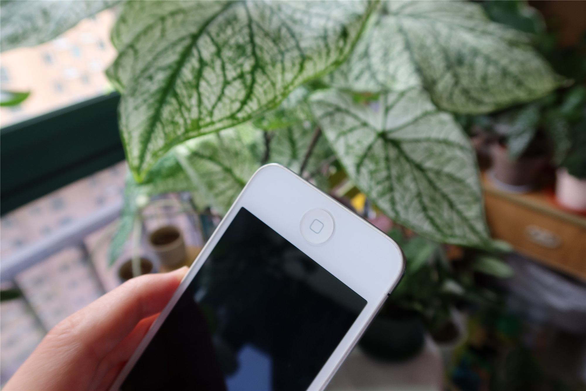 iphone4当年发布有多惊艳,iphone12是为了纪念iphone4吗