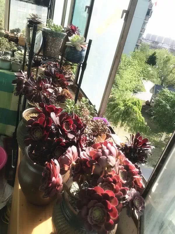 顺风不浪逆风不怂文字图片,顺风不飘逆风不怂绝境不慌