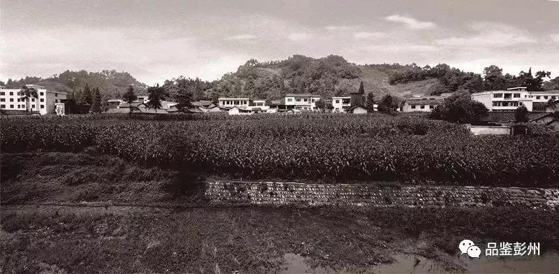 走遍中国的“寻鞋哥”来了!这回居然换上“军乐造”