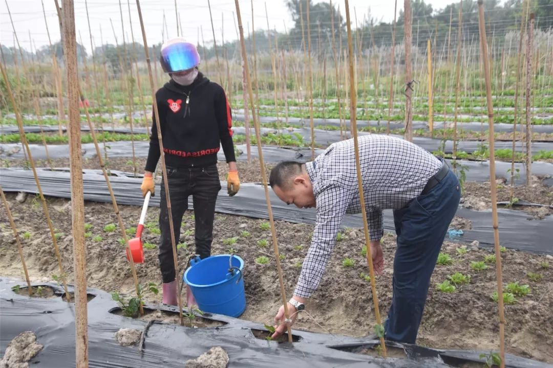 癌症患者申请扶贫政策申请书,一个癌症患者的自愈之路