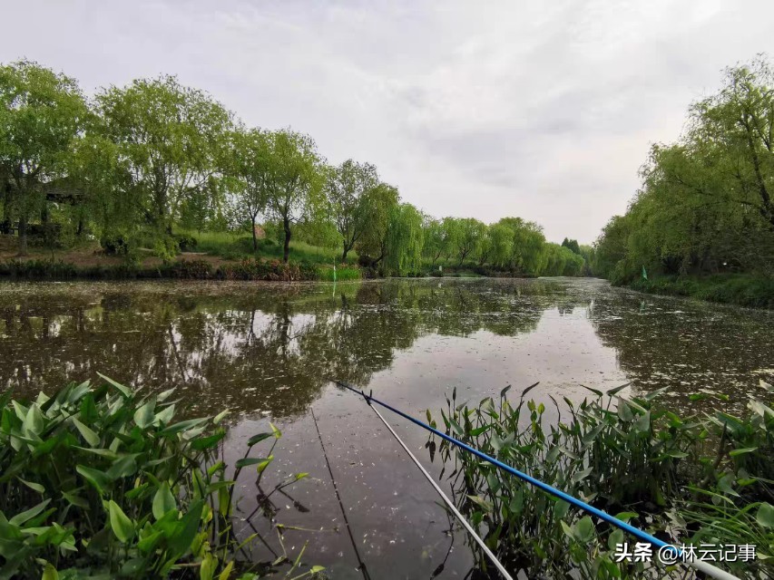 原来钓鱼才是最好的户外运动,野钓一直是我最喜欢的户外运动
