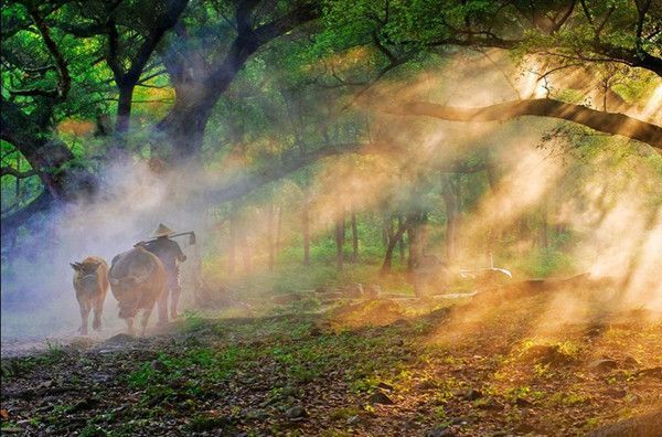 人到中年远离的3种人,人到中年远离这3种人余生顺遂