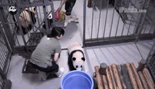 摄影欣赏和点评,世界摄影作品点评