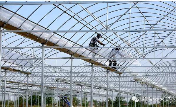 小型温室大棚用什么样的大棚,塑料大棚对比玻璃大棚