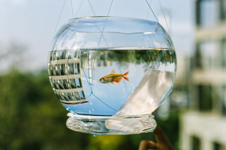 鱼缸用了几年了如何彻底清理一下,鱼缸用久缸壁变浑浊了怎么清理