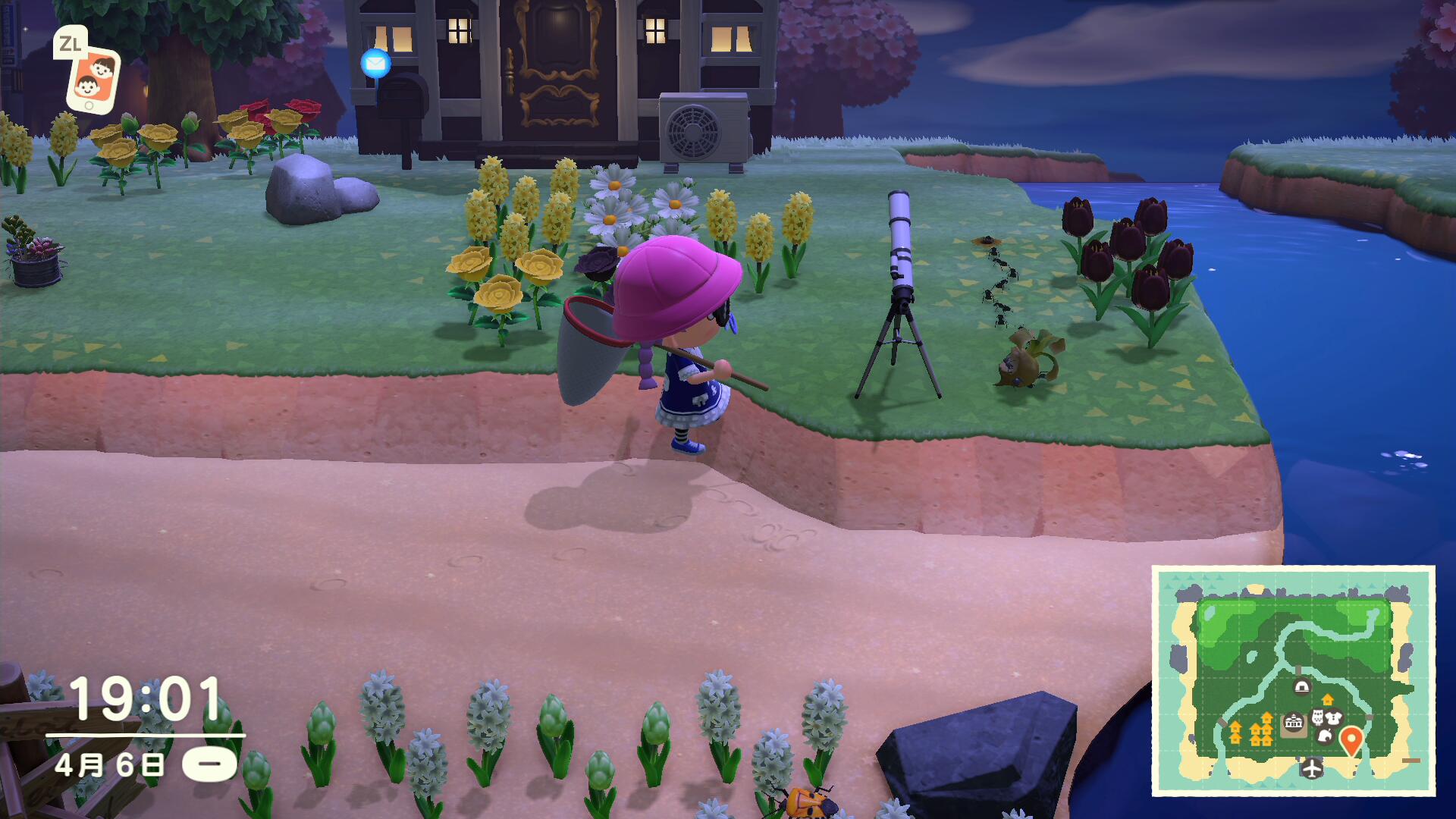 集合啦动物森友会养猫的攻略,集合啦动物森友会书籍攻略