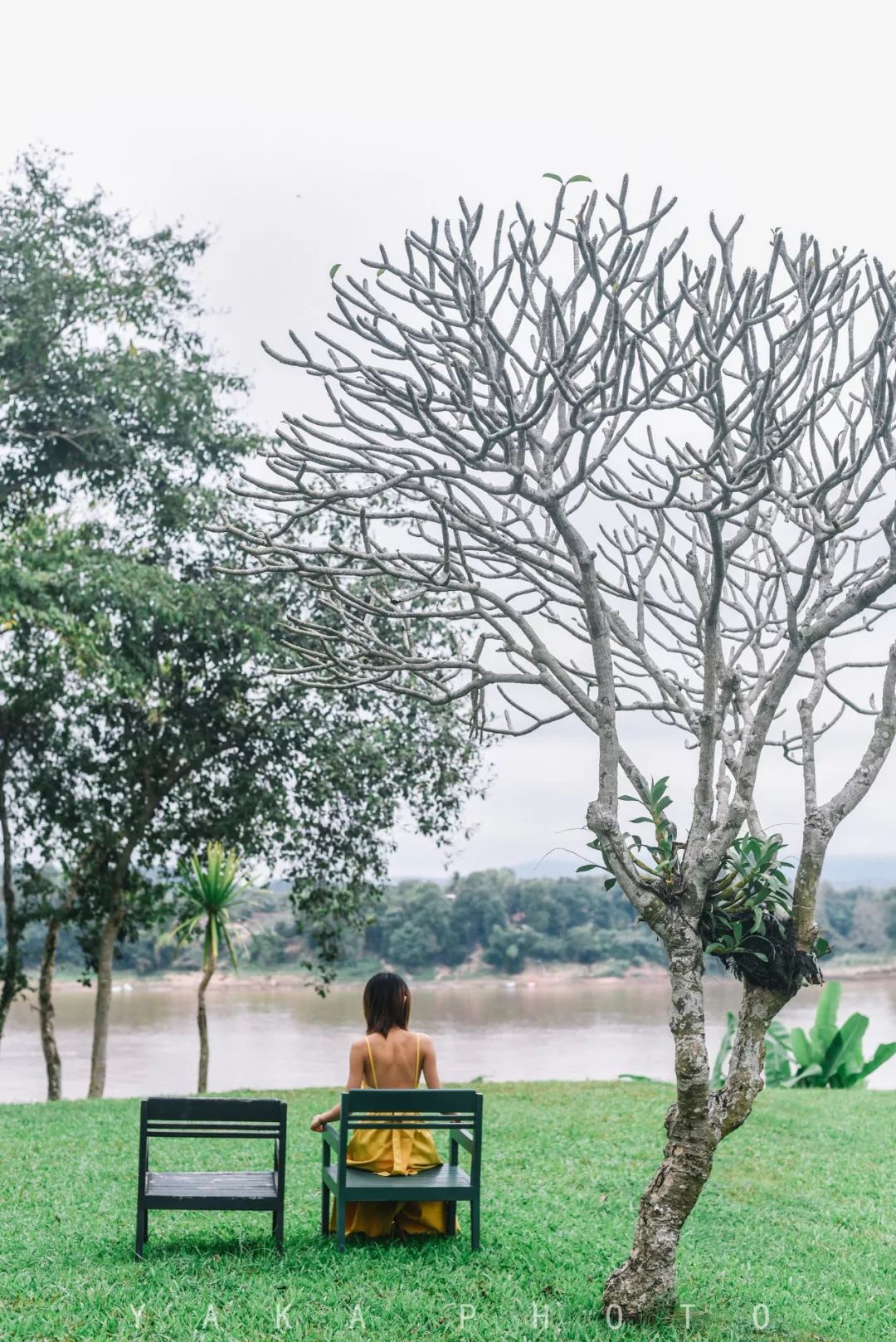 昆明自驾老挝超详细攻略,昆明老挝一日游