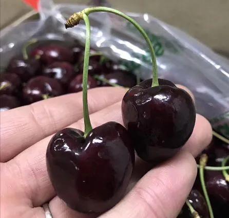 想吃水果的朋友看过来,爱吃水果的宝宝看过来