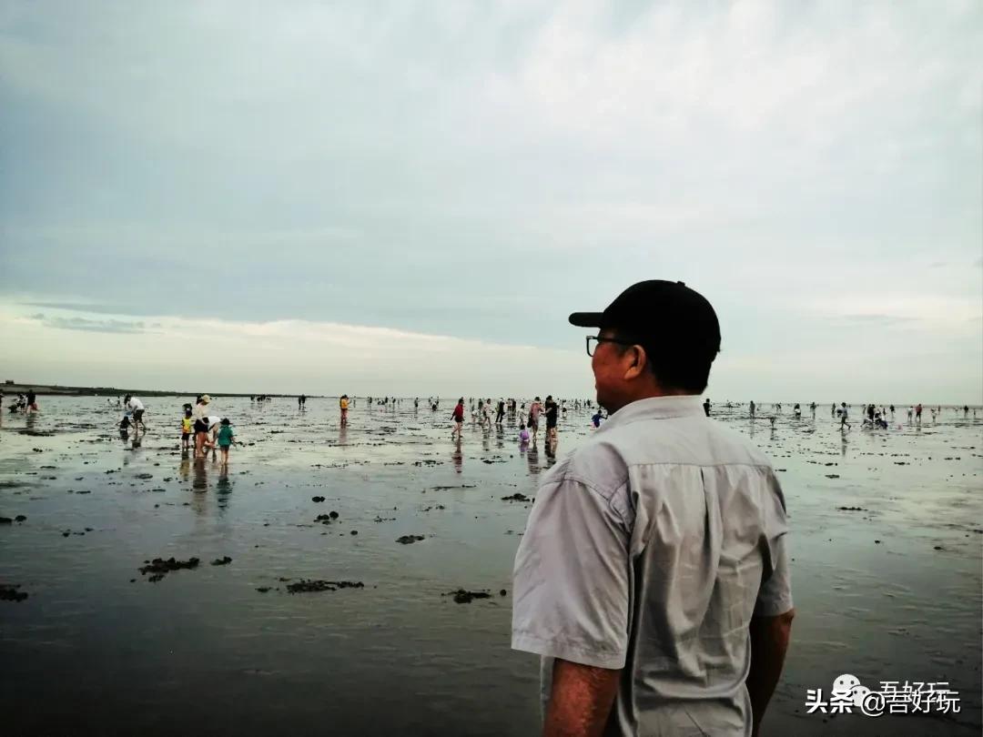 遛娃|南汇新城海滩，魔都夏日必打卡？