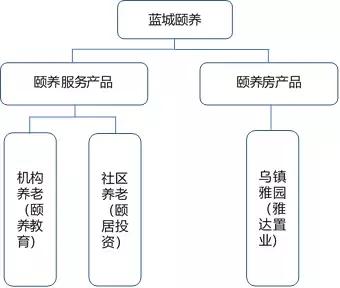 蓝城文旅集团董事长,蓝城文旅集团