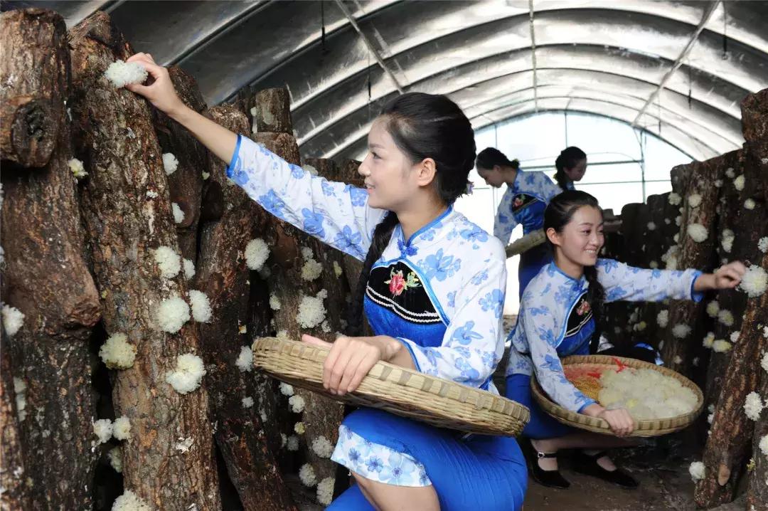 4天，在通江能做些什么？