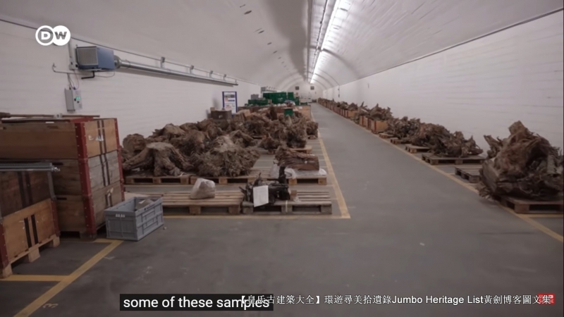 第4027回：气候*弹炸**亚洲纸浆，水上烟泥炭地退化