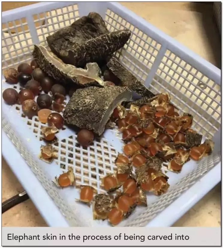 文玩的十大黑幕,文玩最让人无奈的六件事