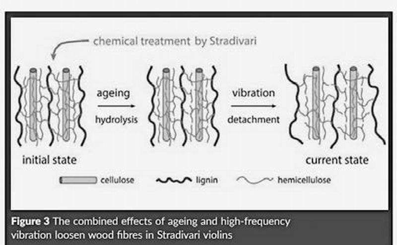 从斯特拉迪瓦里先生的木头说起