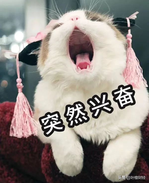 这类产品就是一个大忽悠!买了就坐等爆雷