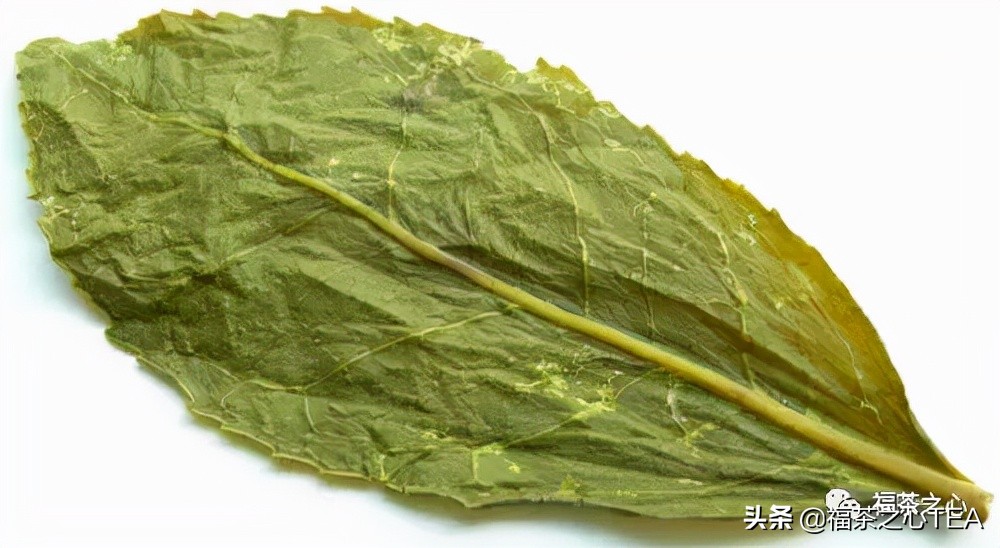 福建最好的茶叶有哪些,福建有哪些茶叶比较好