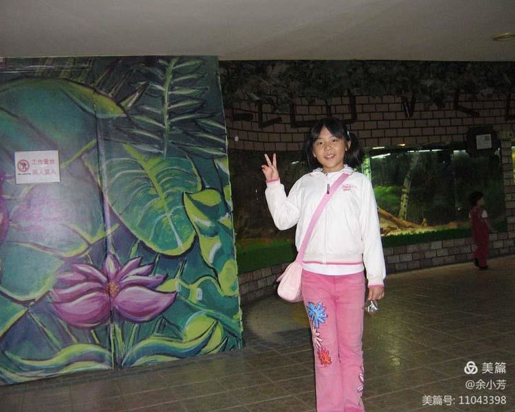 上海昆虫馆,上海昆虫博物馆研学