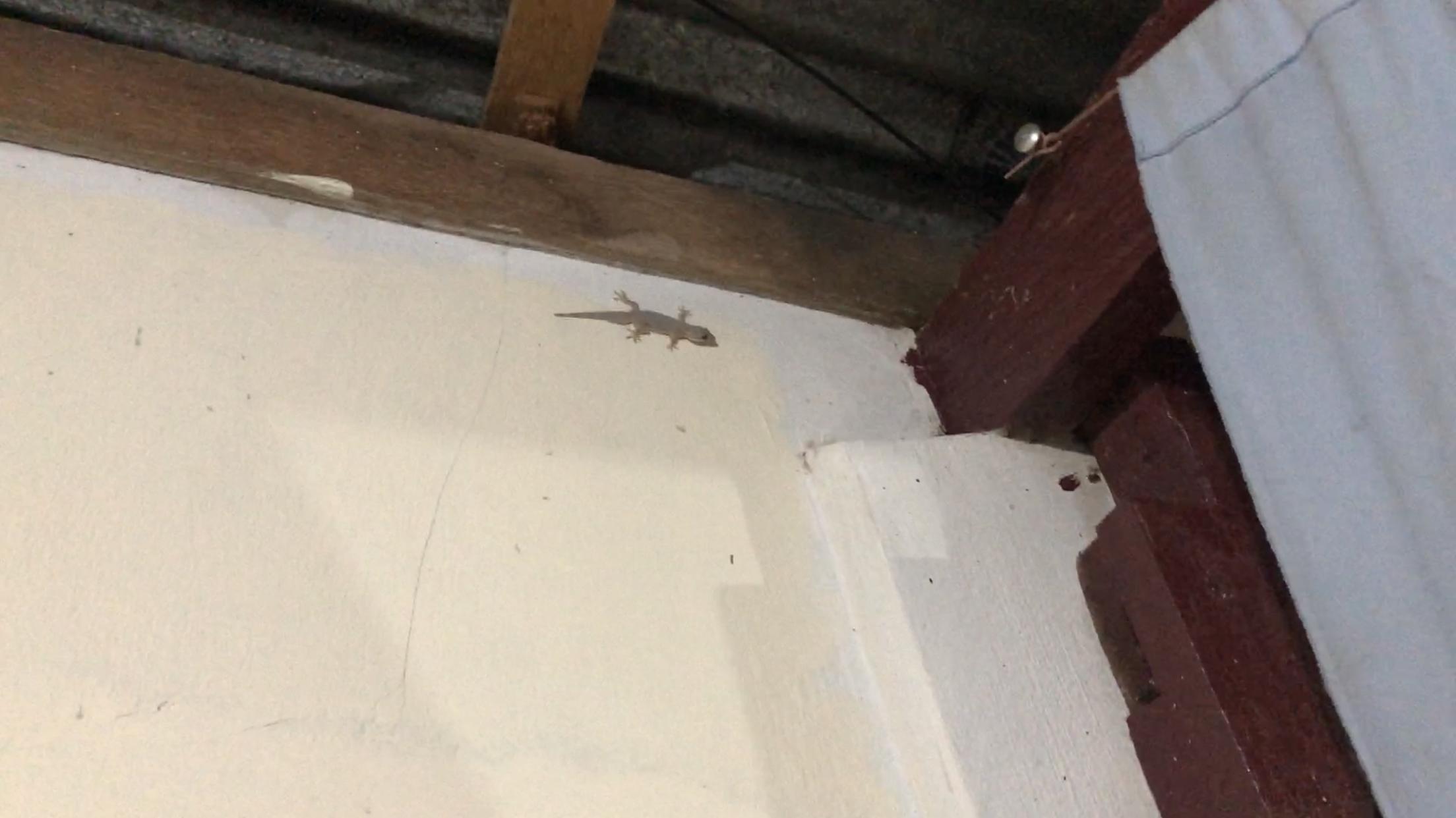 巴厘岛穷游详细攻略,巴厘岛穷游7天5晚