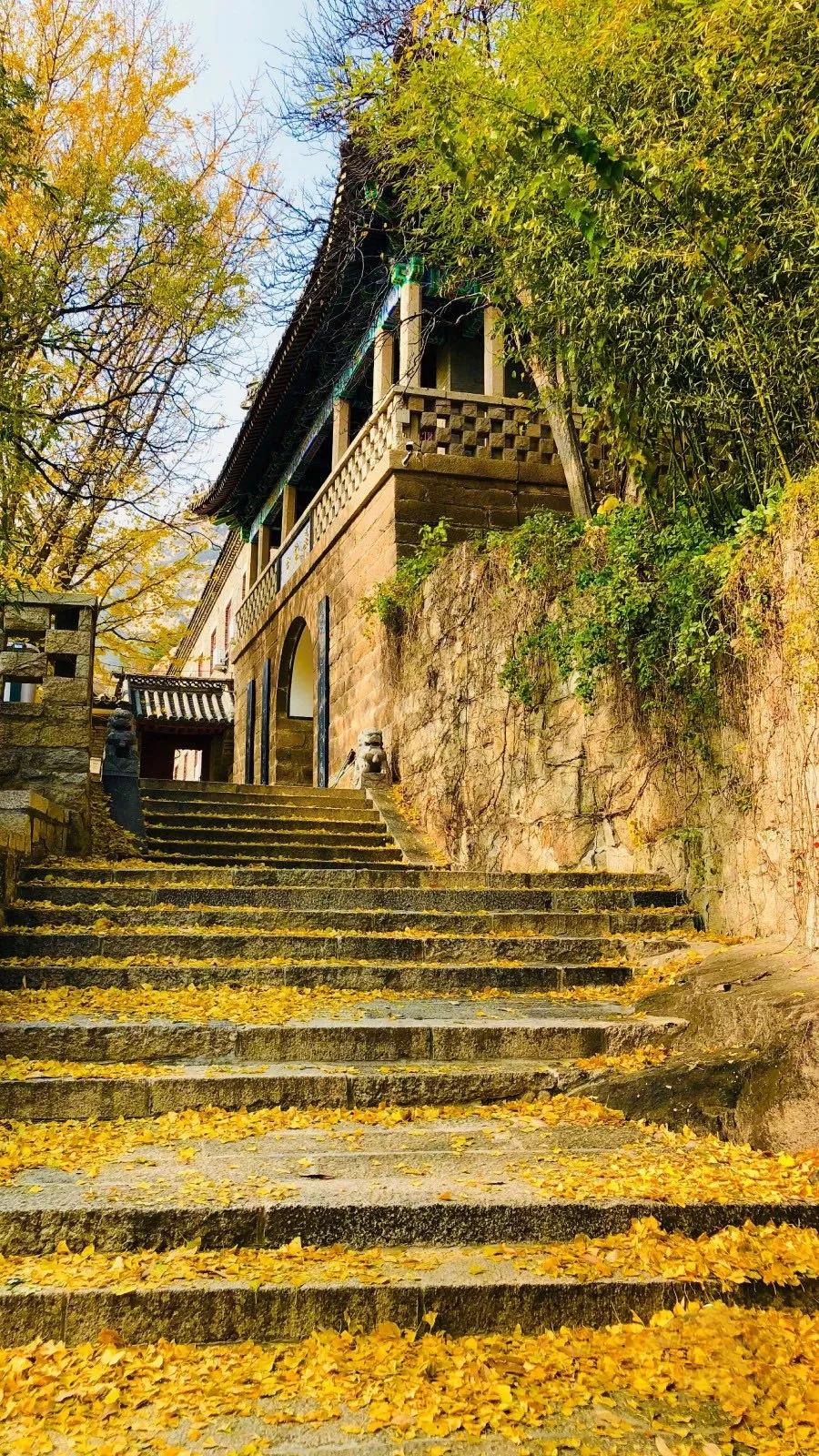 又一条最美自驾线路,又一条绝美进藏自驾公路